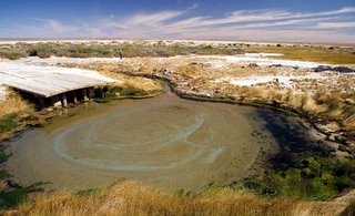 The Bubbler (one of the mould springs)