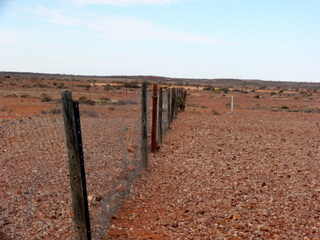 The Dog fence