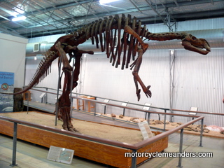 Dinosaur skeleton at Hughenden