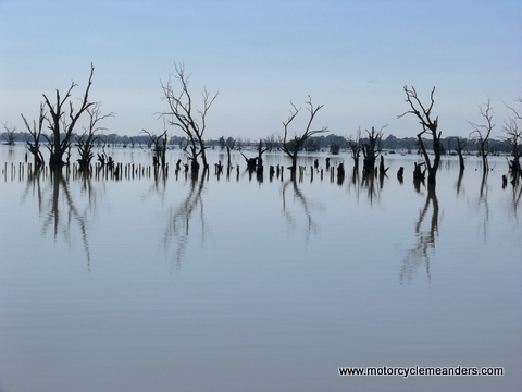 Lake Victoria from Rufus R outlet