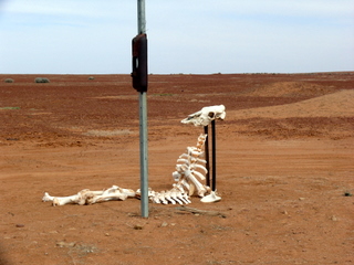 Warning on Oodnadatta Track