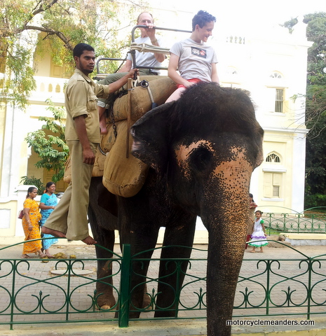 Being mahout for the day