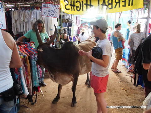 The inevitable cow at the market